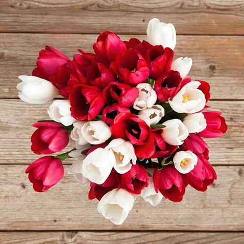 TULIPS 60 RED AND 60 WHITE COMBO BOX